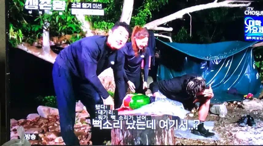 생존왕 진짜 빵터져요