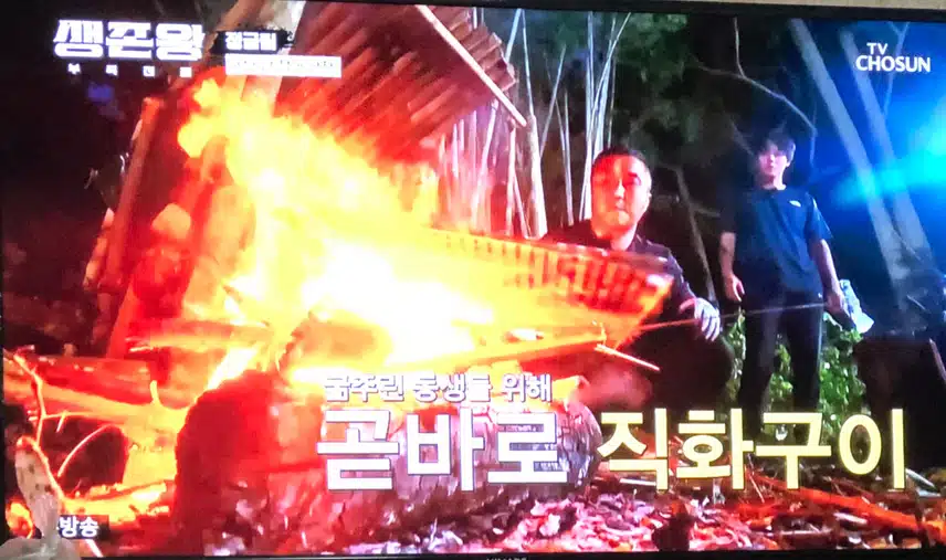 생존왕 정말 힘들겠어요