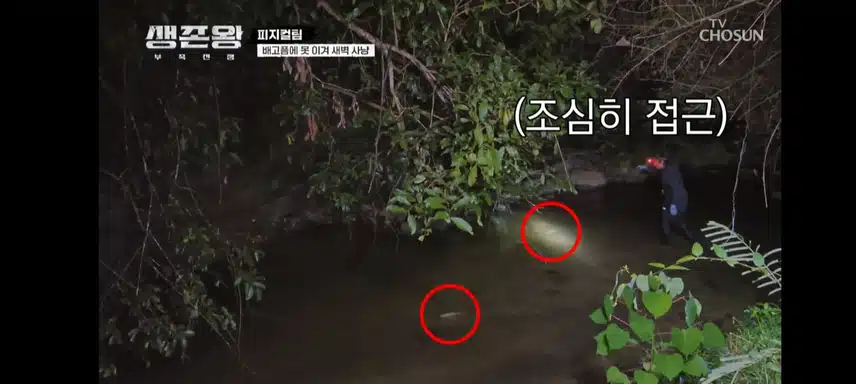 생존왕 피지컬팀 물고기사냥