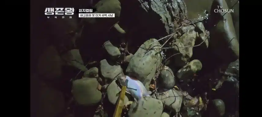 생존왕 피지컬팀 물고기사냥