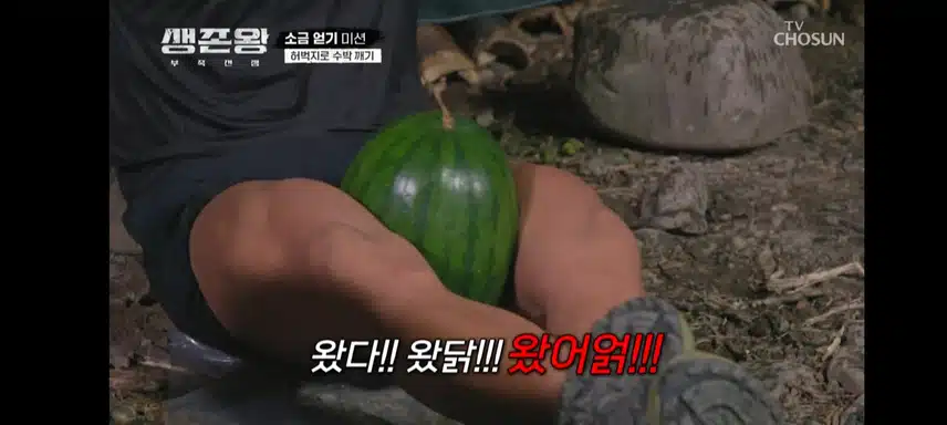 생존왕 피지컬팀 수박내기