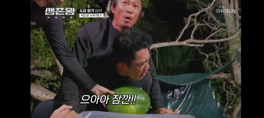 생존왕 피지컬팀 수박내기