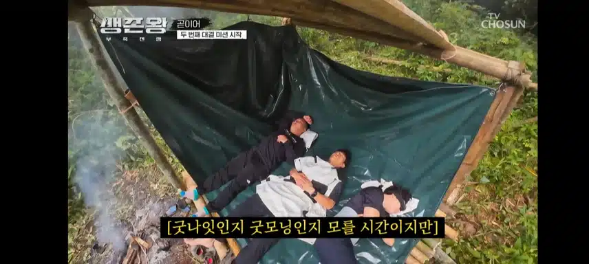 생존왕