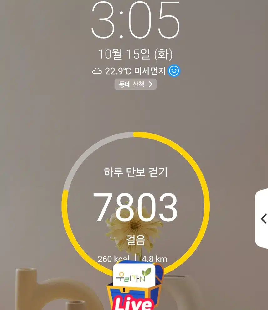 하루 6천보 걷기 