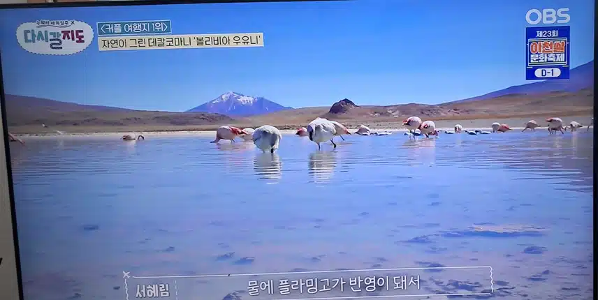 볼리비아 우유니