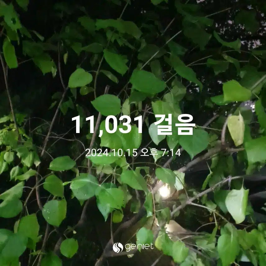 만보 걸었어요^^