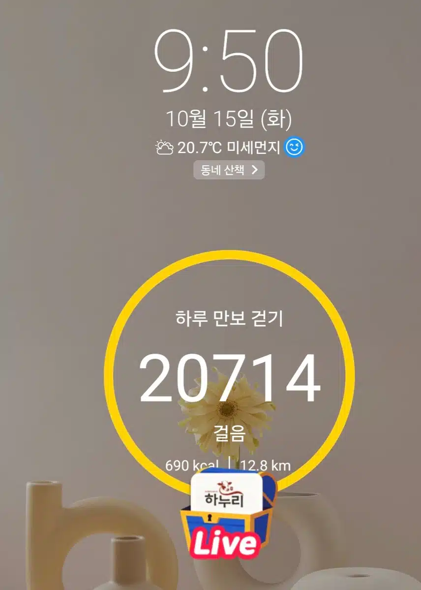 2만보 걷기