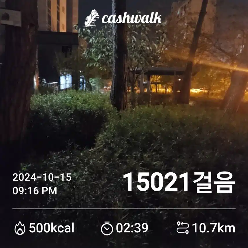 오늘도 만보걷기 완료!