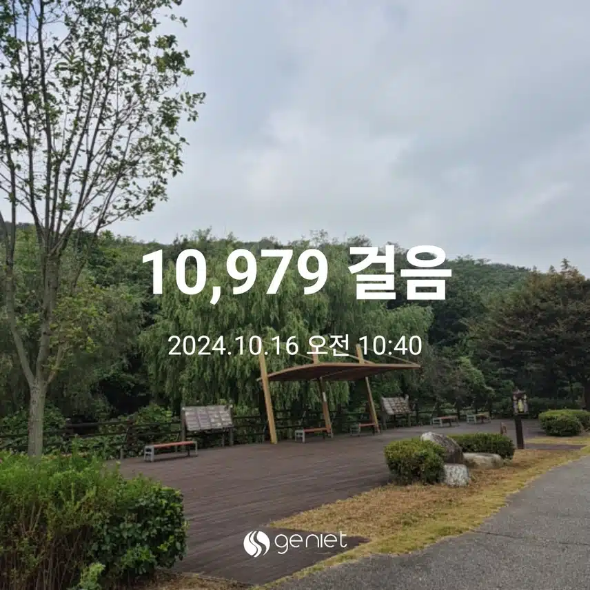  만보걷기 먼저하고 왔어요 