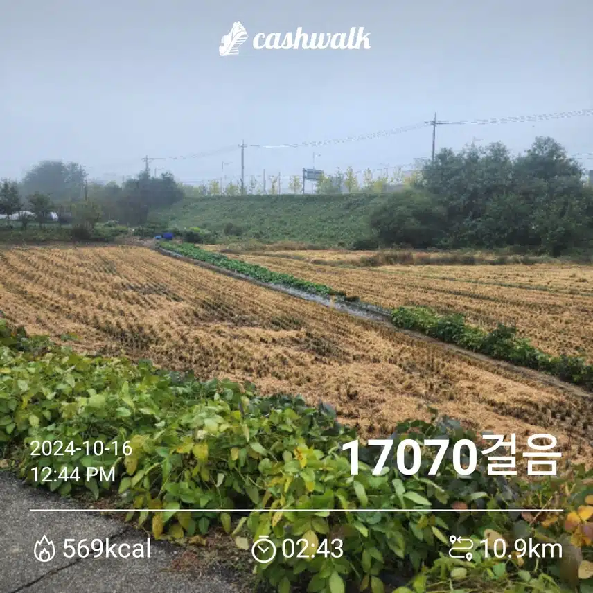 1만7천보 걸었어요 ~