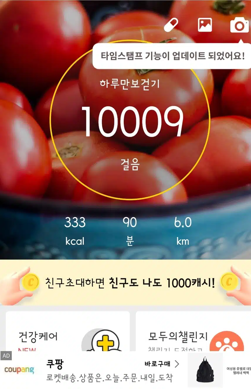 겨우 만보