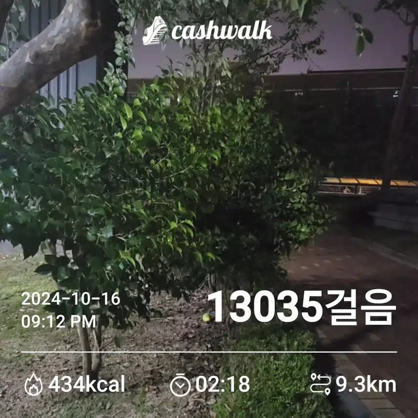 오늘도 만보달성~^