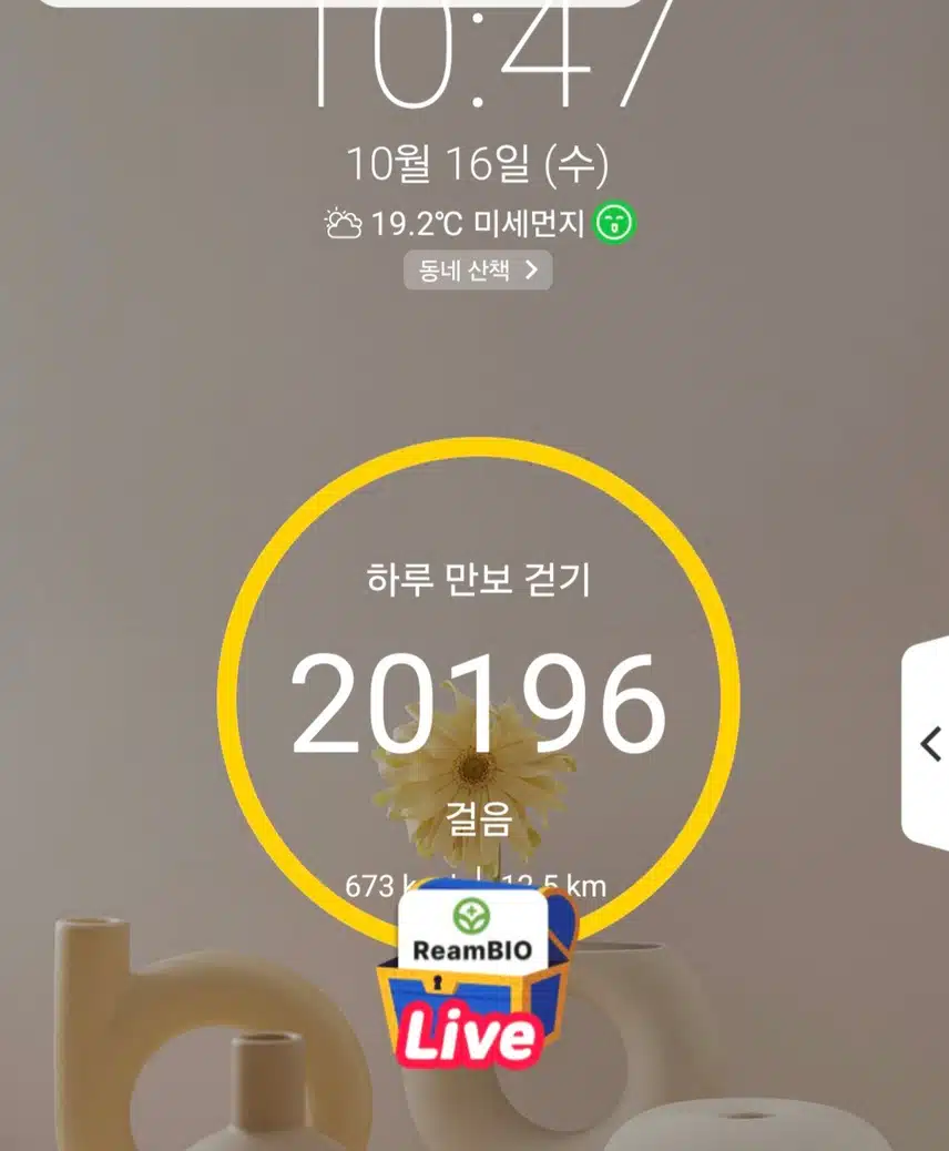 2만보 걷기