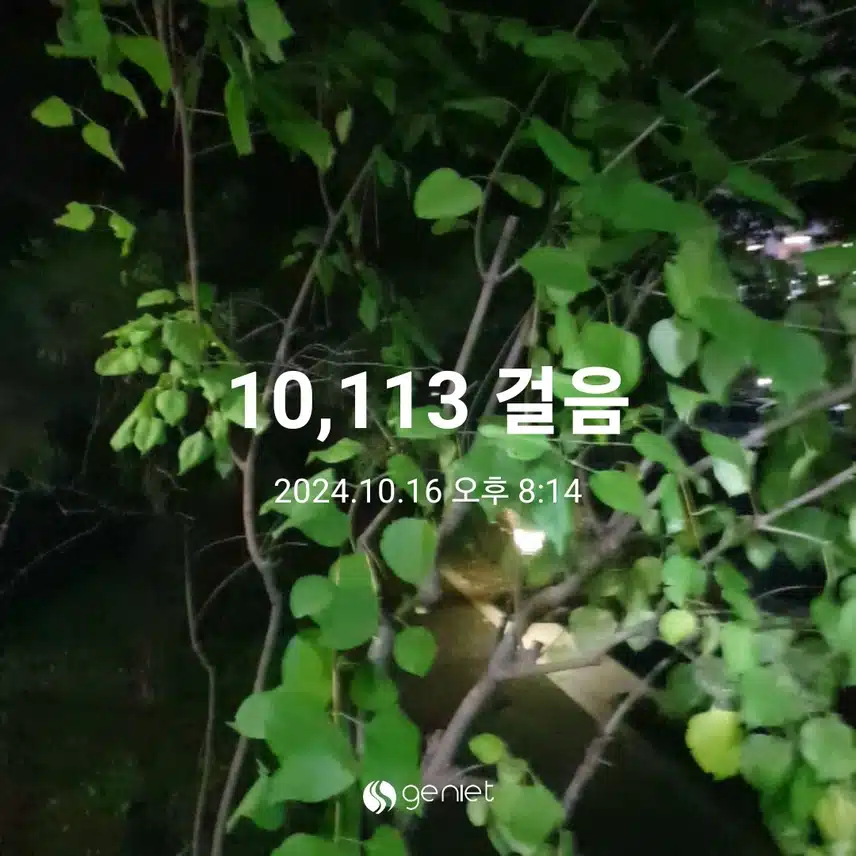 만보 했어요~