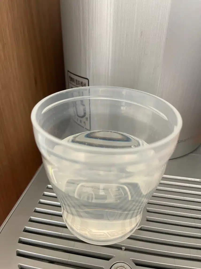 점심 물한잔 