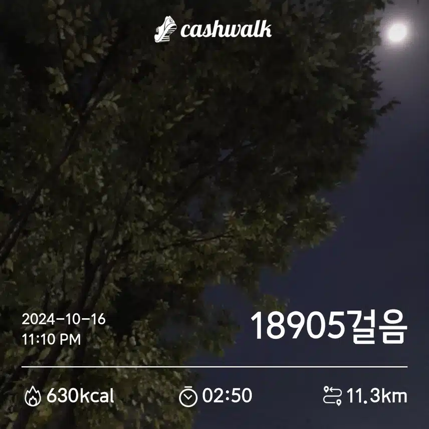 만팔천보 걸었어요