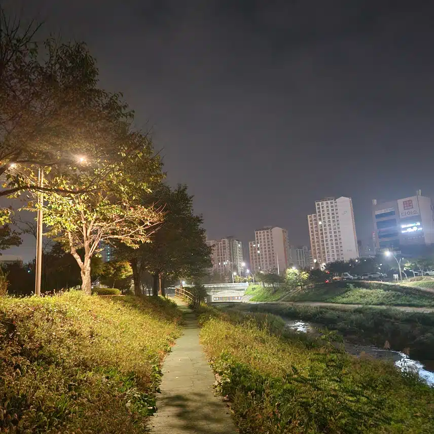 기상 그리고  새벽운동 