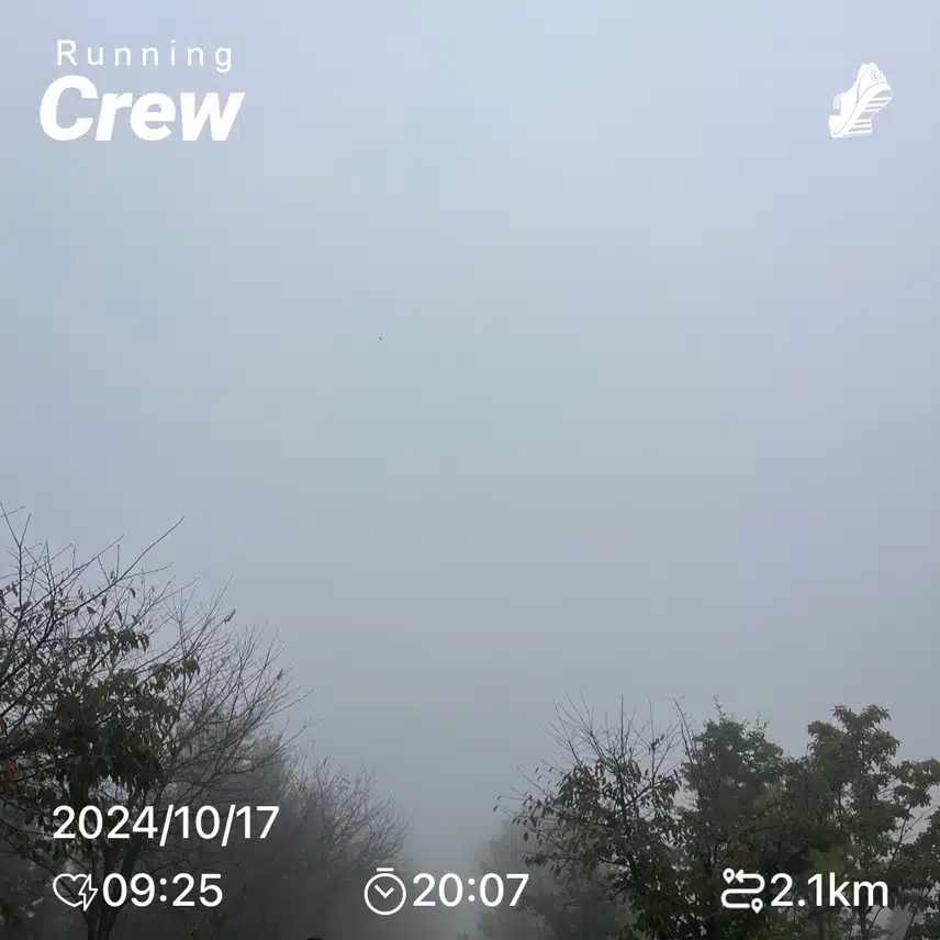 안개속 러닝크루 🌫️