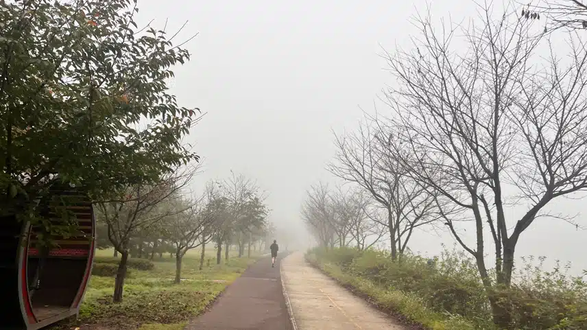 안개속 러닝크루 🌫️