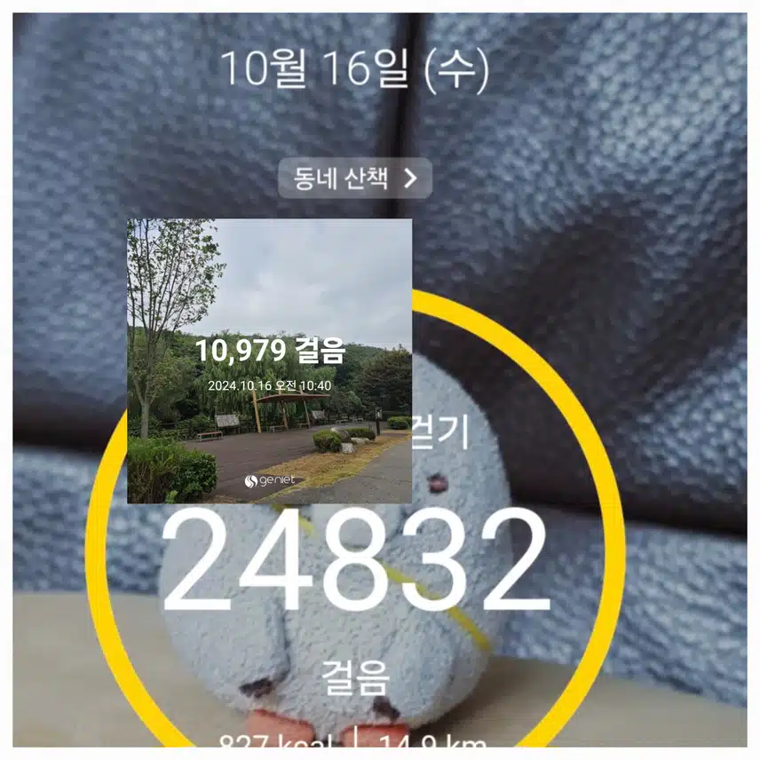  수요일 걷기인증 이예요~