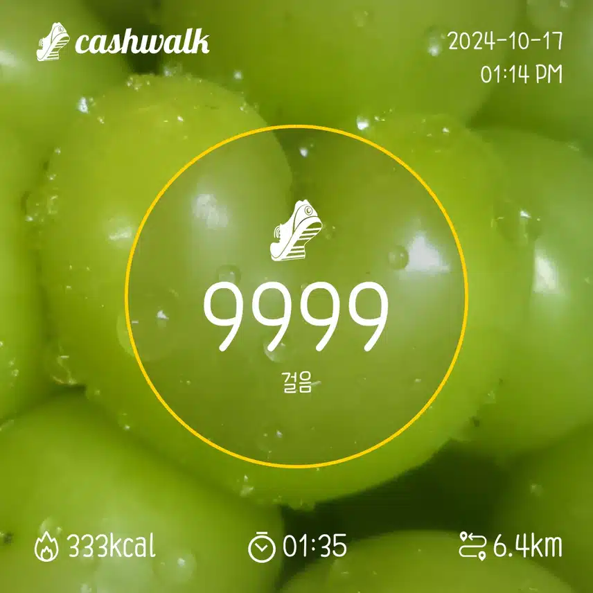 9 9 9 9 