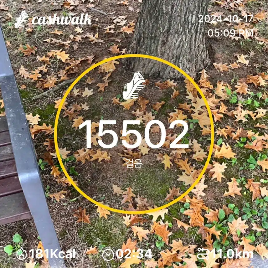 목요일 만보걷기 🍂만오천보