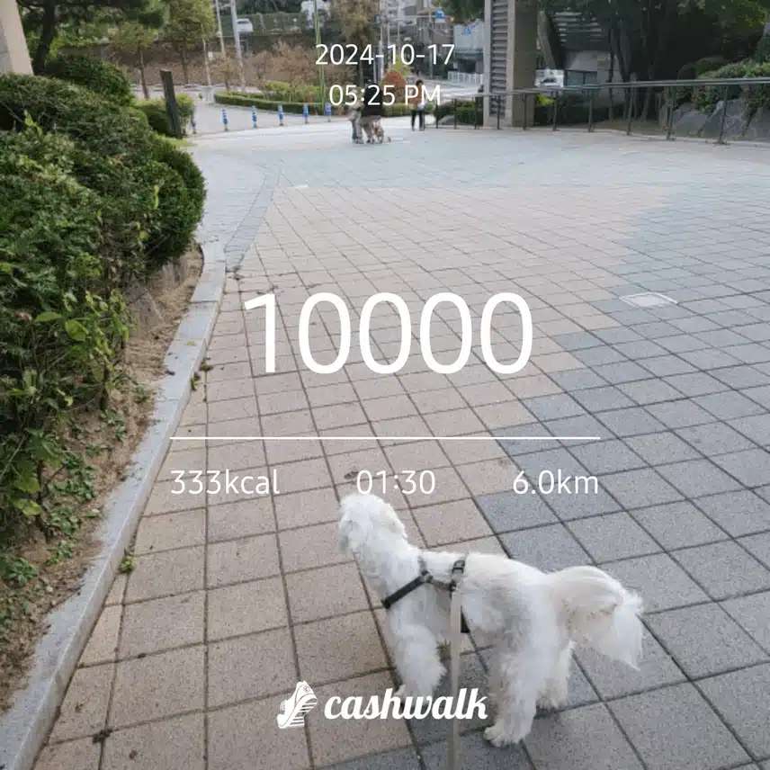 10,000을 잡았네요. 