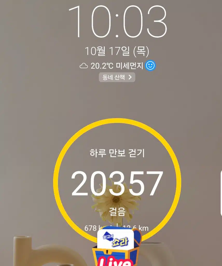 2만보 걷기