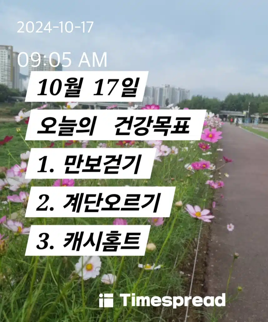 10/17  오운완