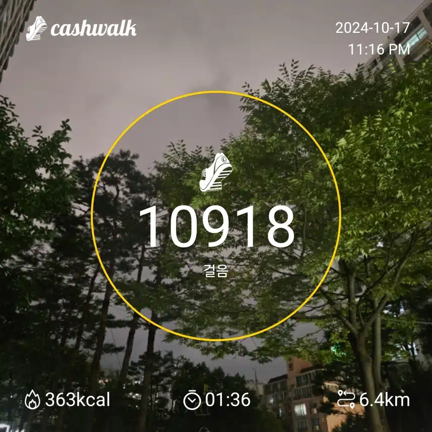 만보걷기