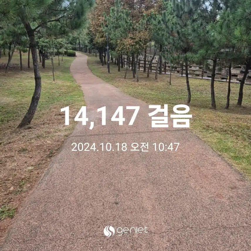  비오는날에도 걷기 좋아요~