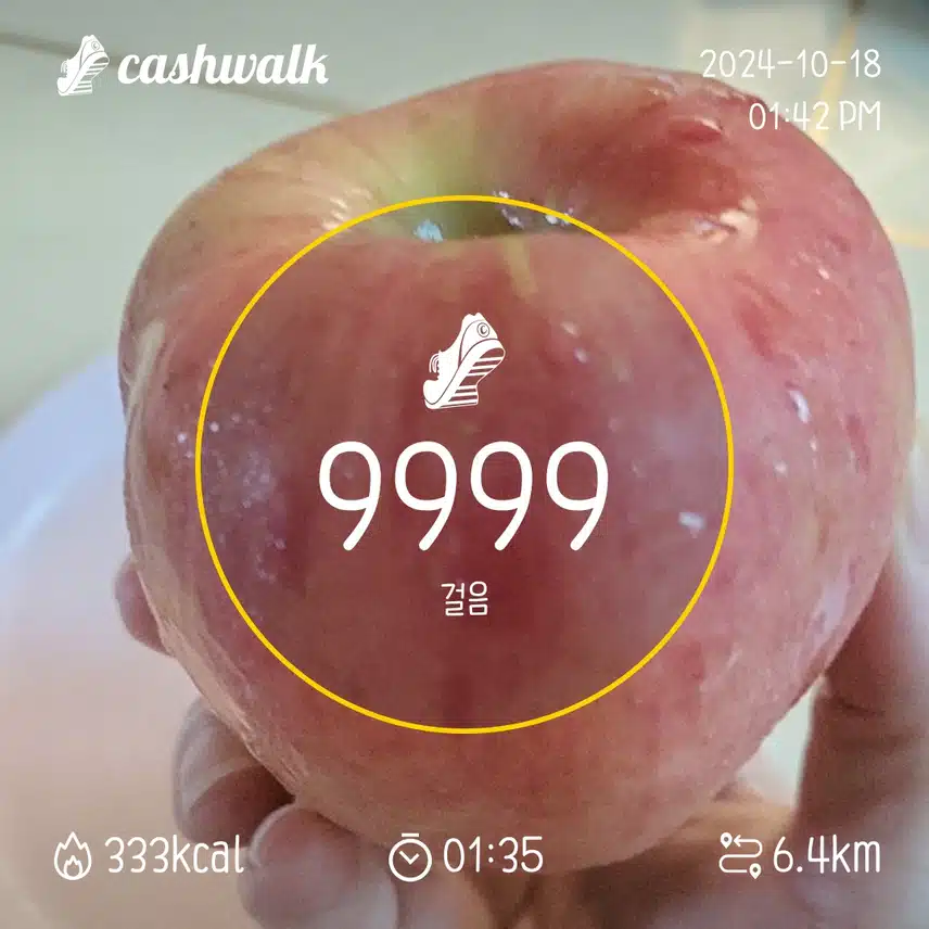 9 9 9 9 