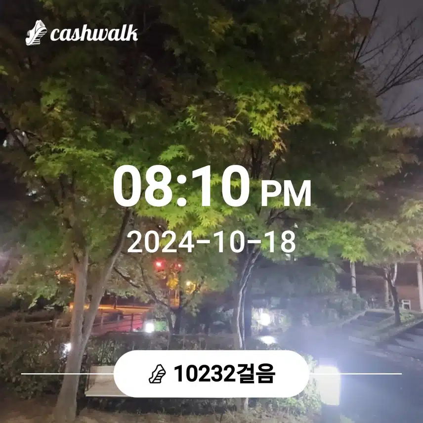오늘도 만보걷기 완성!
