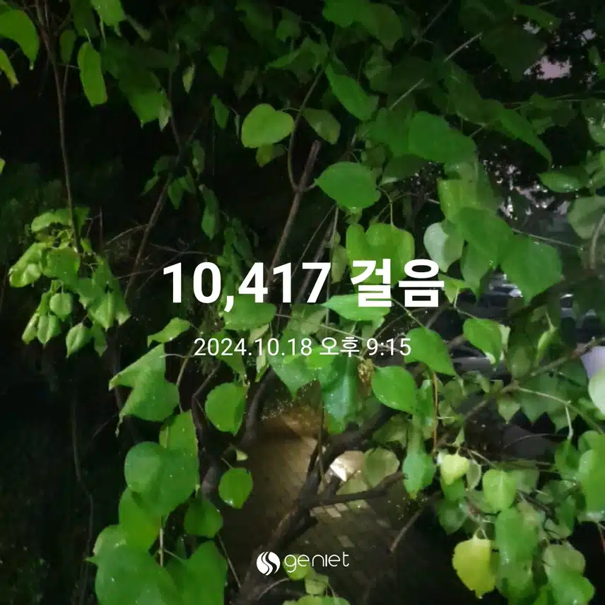 만보 했습니다^^