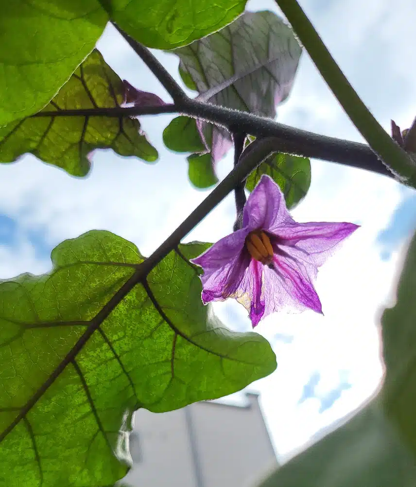 7천보걷기와 계단오르기 달성했습니다 