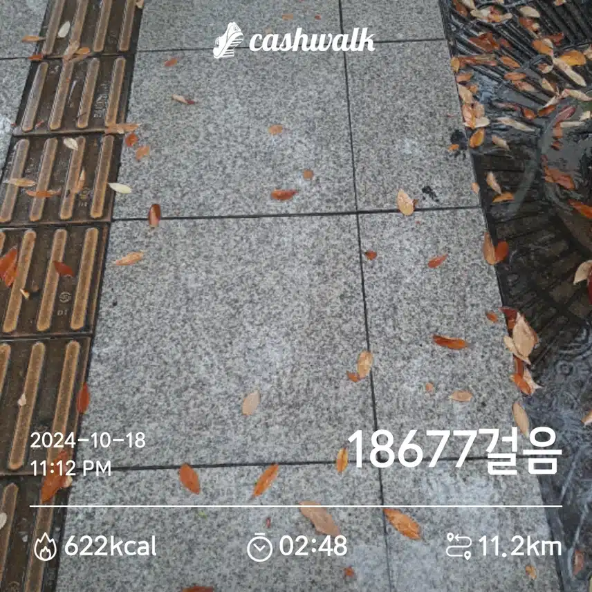 만보 걸었습니다