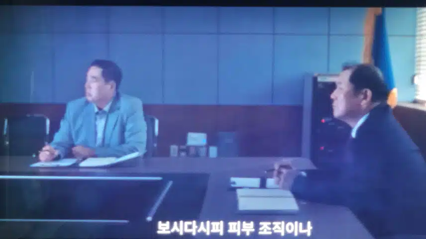 이제보기 시작했어요