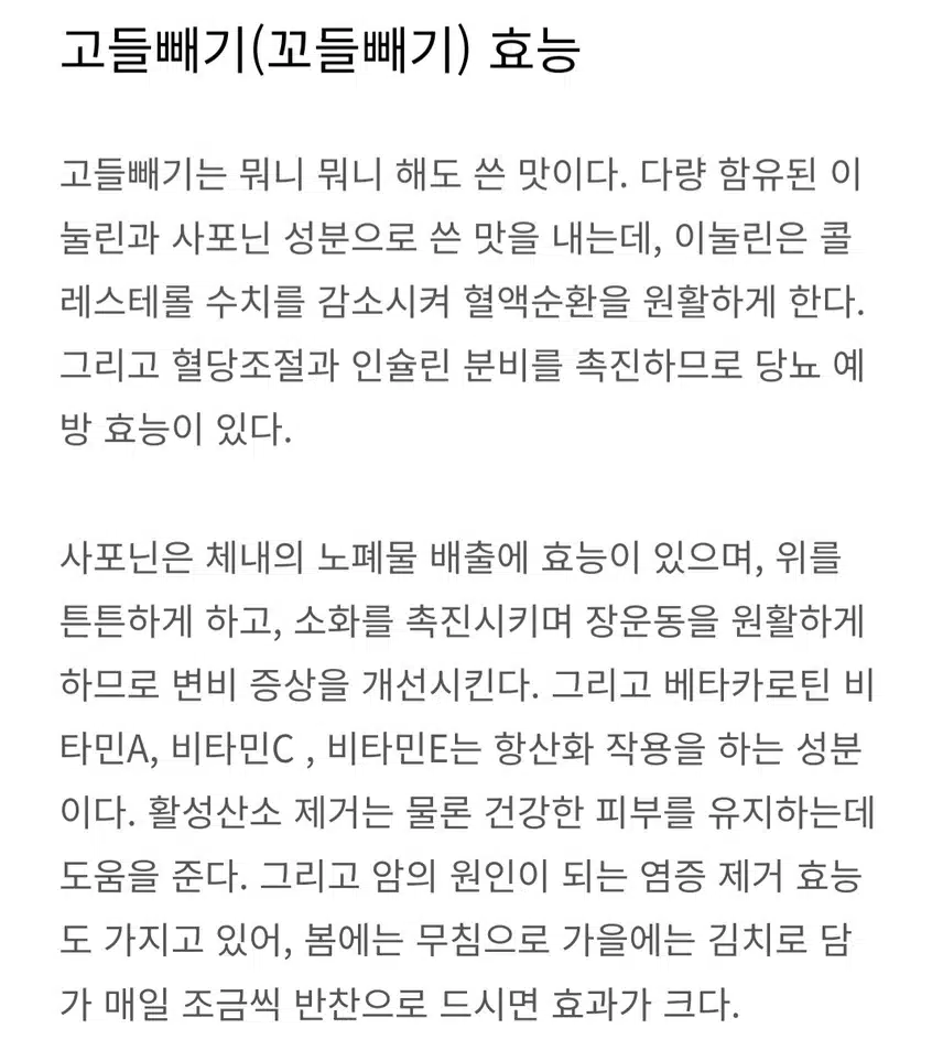 (건강식단) 꼬들빼기 김치 효능.
