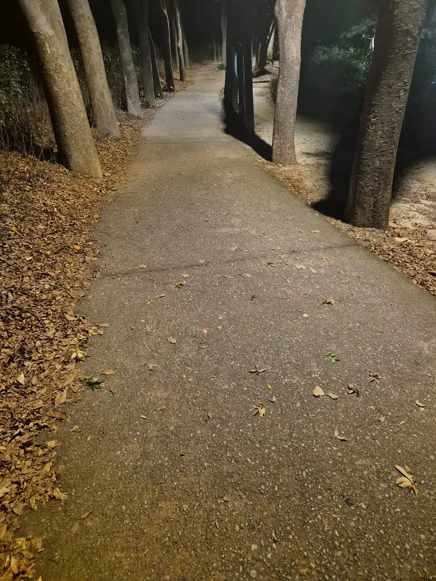 밤산책