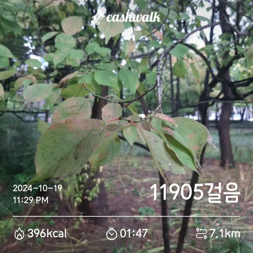 오늘도 열심히 걸었죠