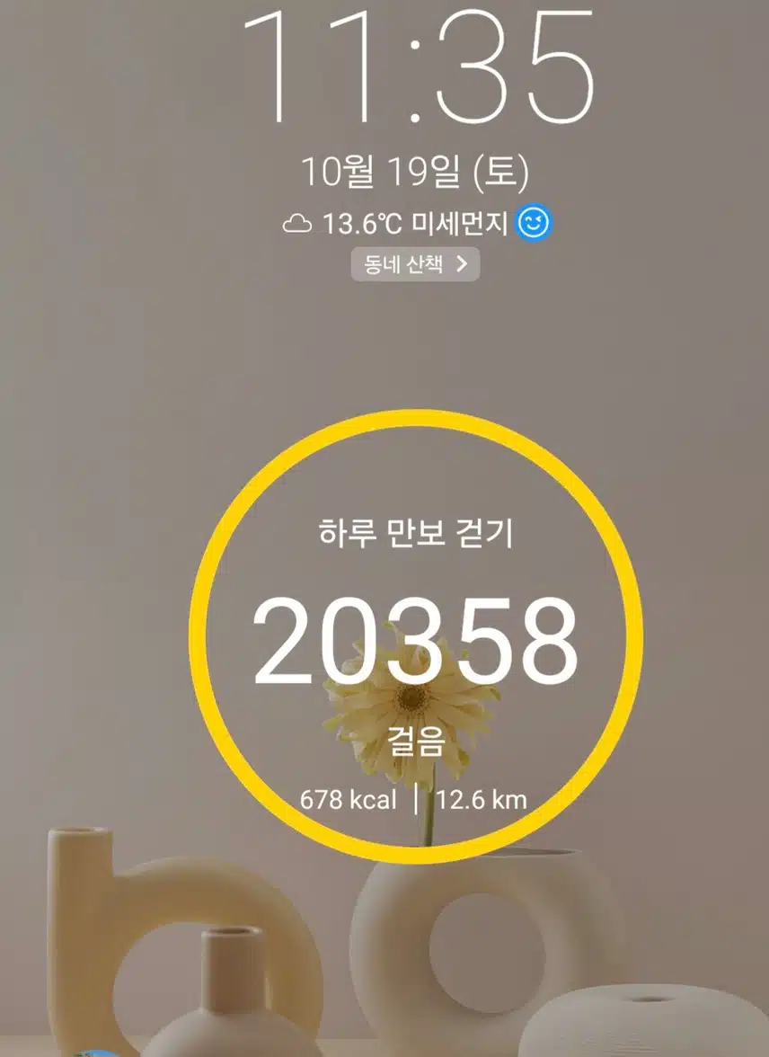 2만보 걷기 