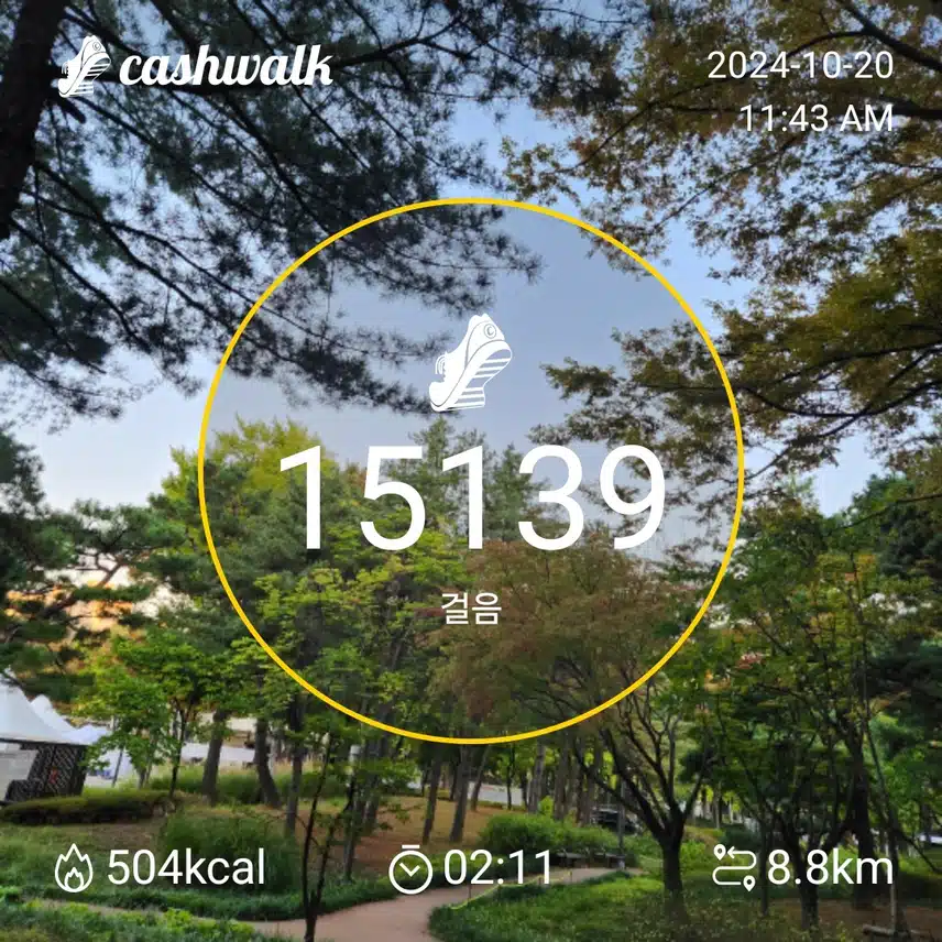 일요일 만오천보 