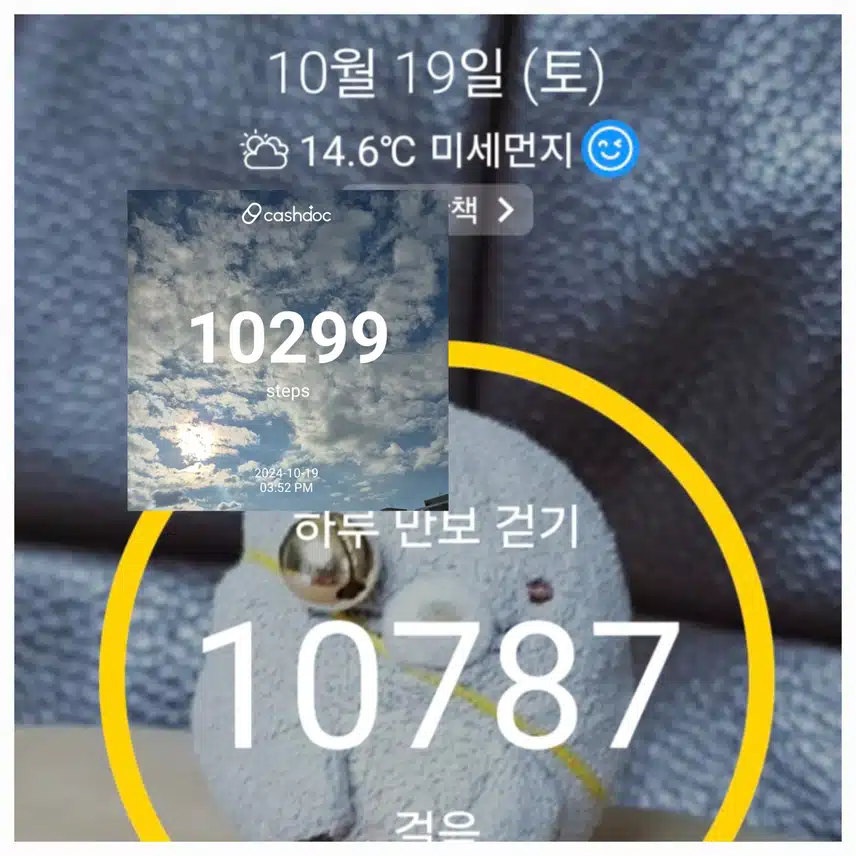 토요일 걷기운동 인증 입니다~