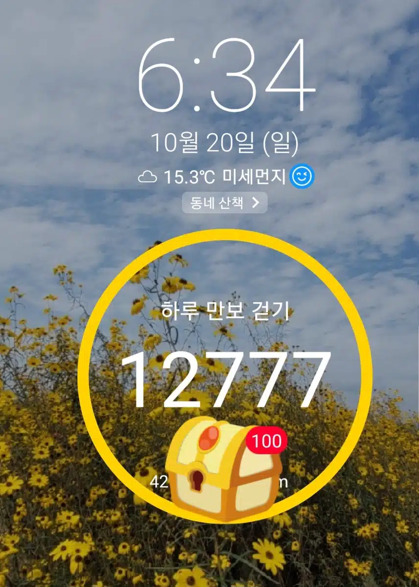 오늘도 좀 걸었네요
