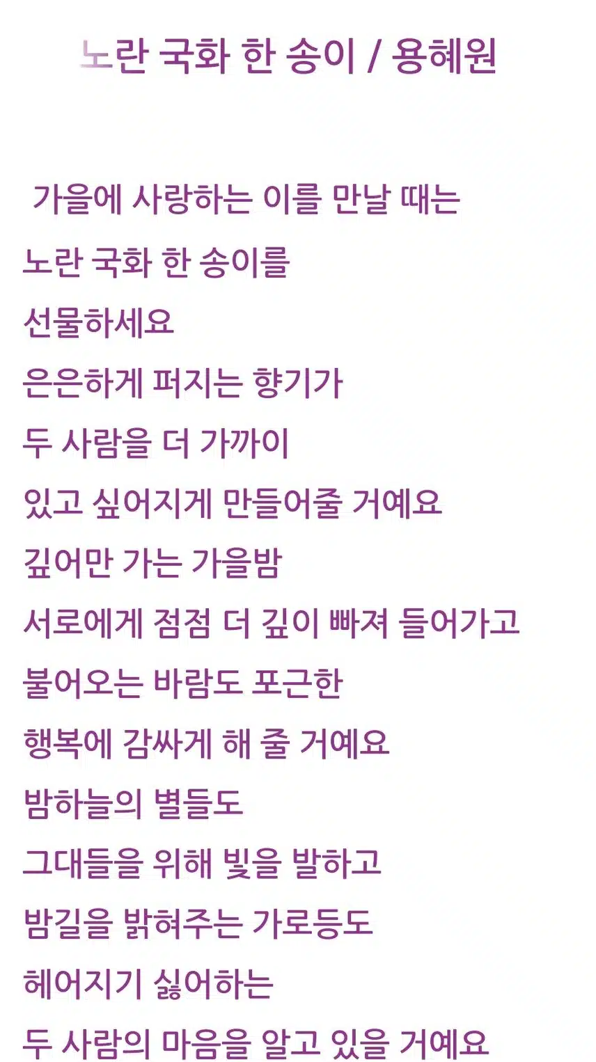 국화꽃 향기
