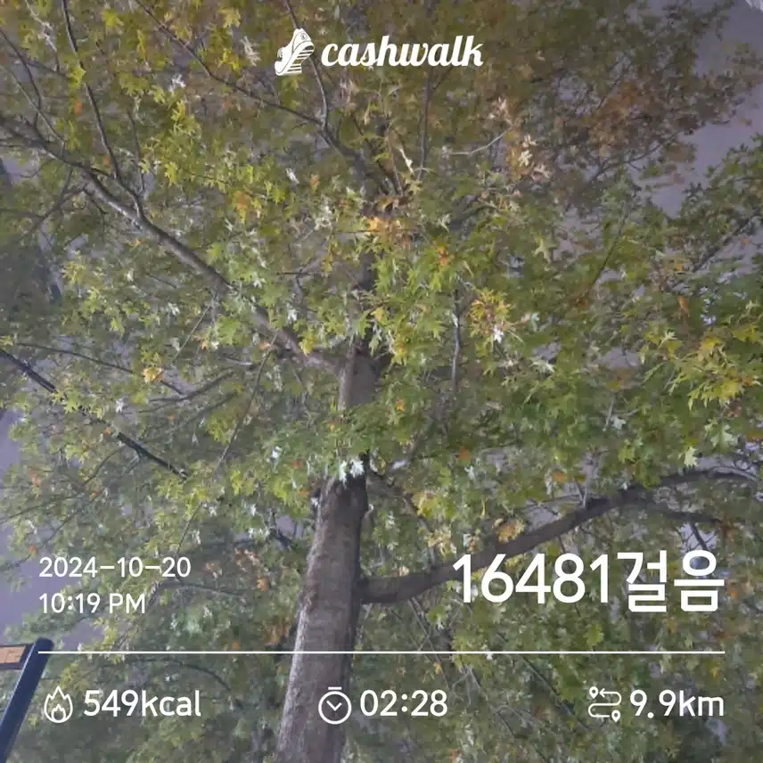 걷기운동완료끝