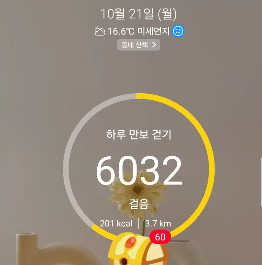 하루 6천보 걷기