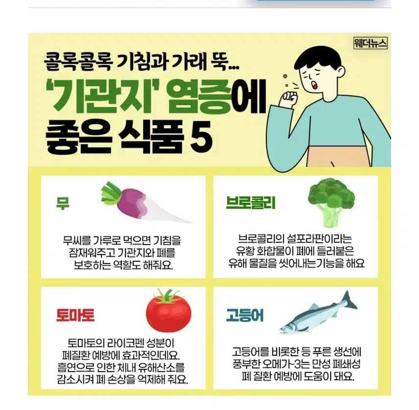 찬바람 불 때 기관지 튼튼히 지키려면 ᆢ