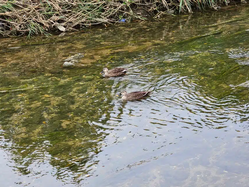 오늘도 열심히 
