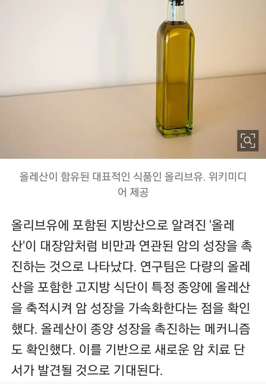 올리브유 속 올레산의 반전 위험ᆢ